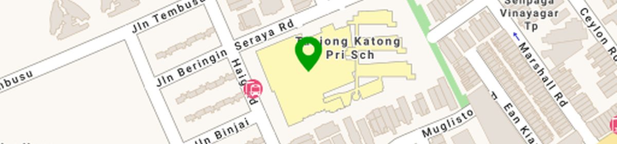 OneMap view of Tanjong Katong Primary near Amber Gardens