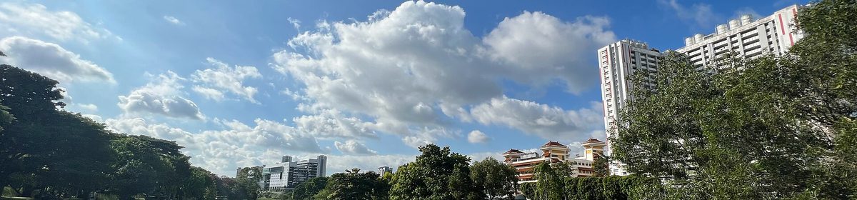 MacRitchie Reservoir and TreeTop Walk in the Central Catchment