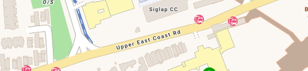 OneMap view of the Temasek Primary and Temasek Secondary school cluster