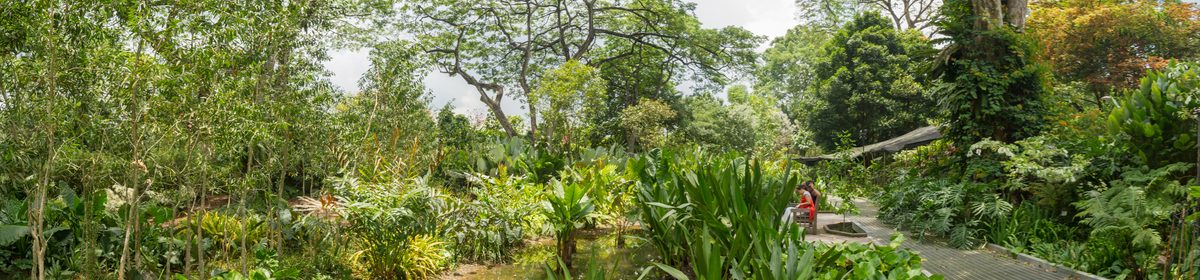 Singapore Botanic Gardens — UNESCO World Heritage Site