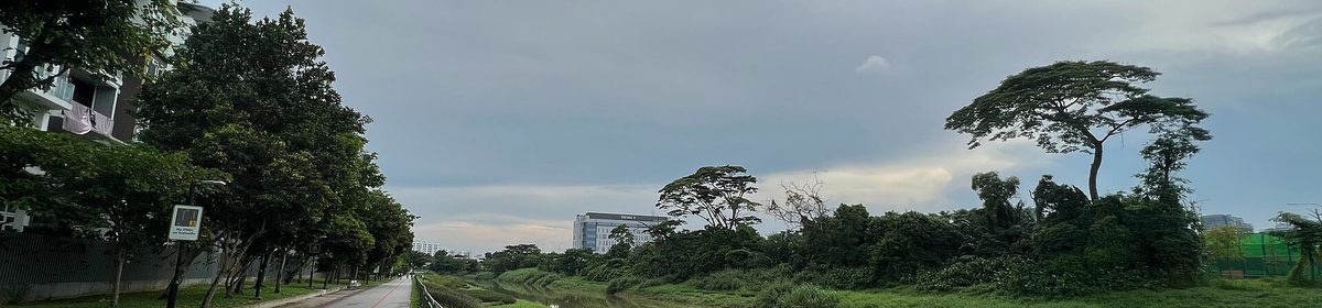 The Ulu Pandan Park Connector along Sungei Ulu Pandan near Faber Heights, the green on Faber Residence's doorstep