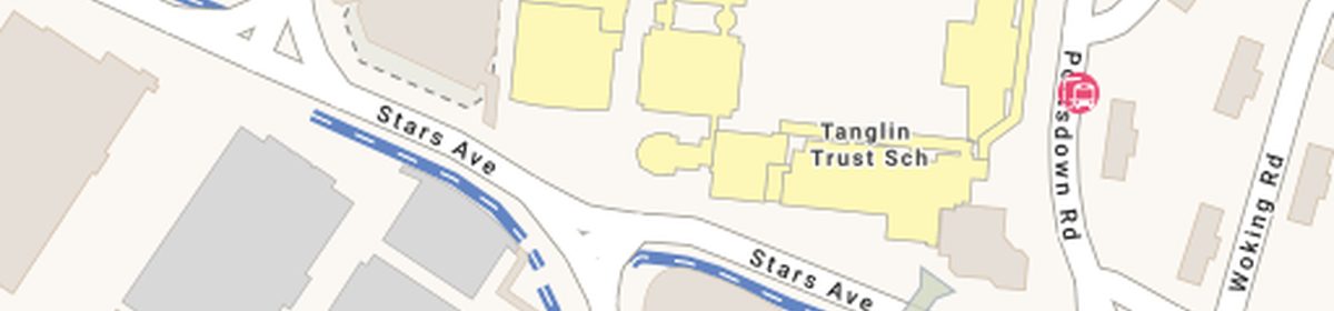OneMap view of Tanglin Trust School at 95 Portsdown Road