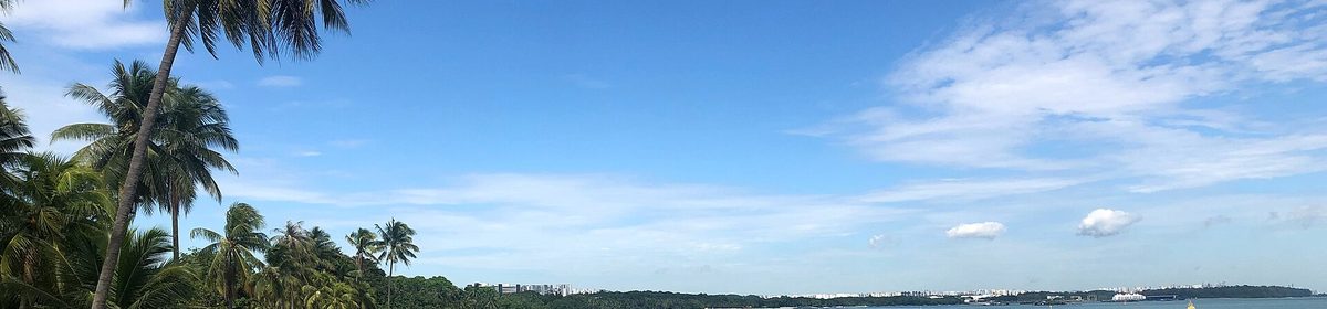 Pasir Ris Park coastline