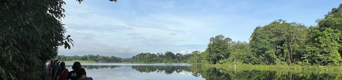 Thomson Nature Park trails