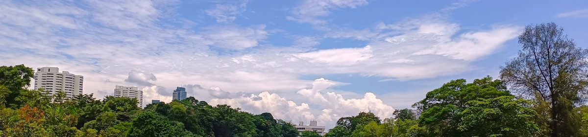 Jurong Lake viewed from Double Beauty Bridge