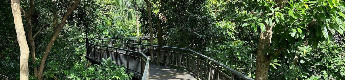Kent Ridge Park and the Southern Ridges green corridor