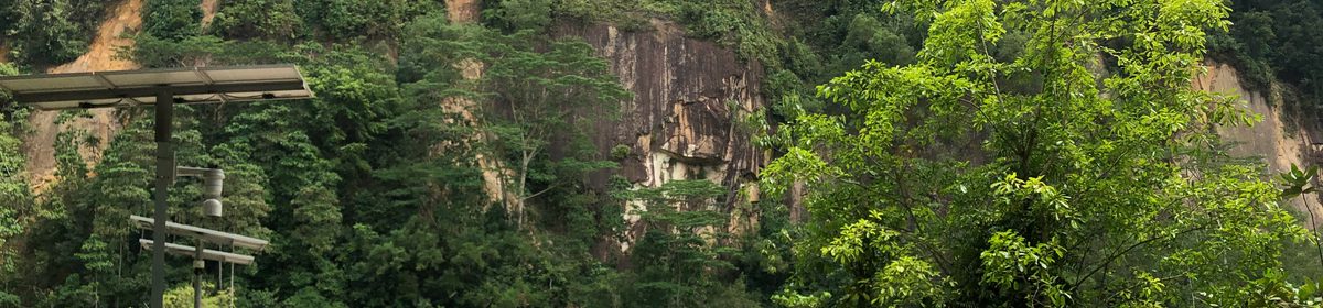 Singapore Quarry rock face in Dairy Farm Nature Park, near Narra Residences