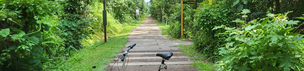 The Rail Corridor green trail near Pine Grove