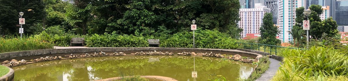 Pearl's Hill City Park near Newport Residences