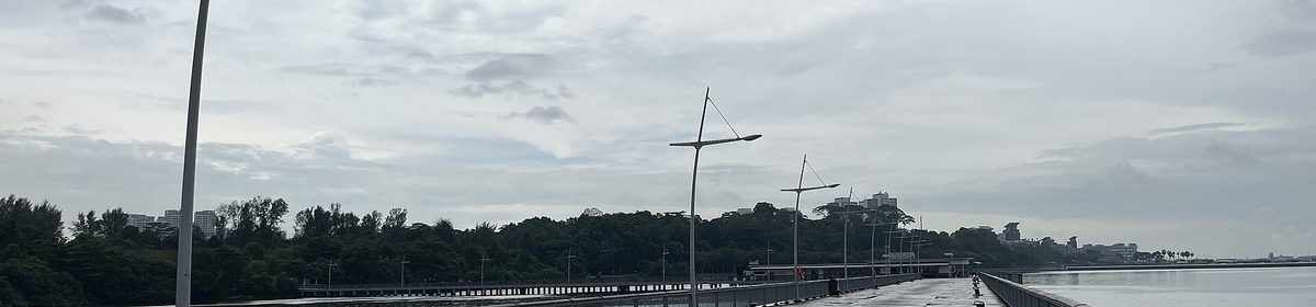 Woodlands Waterfront Park boardwalk