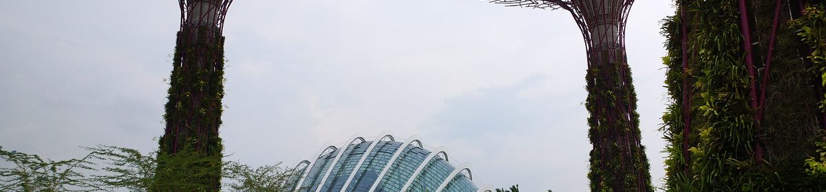 Supertree Grove at Gardens by the Bay beside Marina South