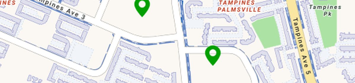 OneMap view of Junyuan and St Hilda's Primary Schools near Pinery Residences