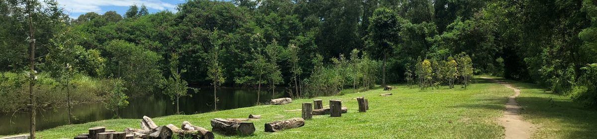Tampines Eco Green nature park near Rivelle Tampines