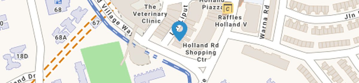 OneMap view of the Holland Village precinct around Skye At Holland