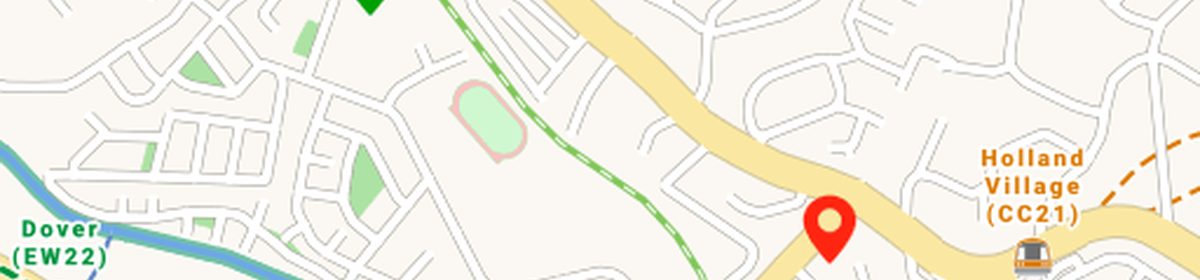 OneMap view of Henry Park Primary School relative to the Skye At Holland site