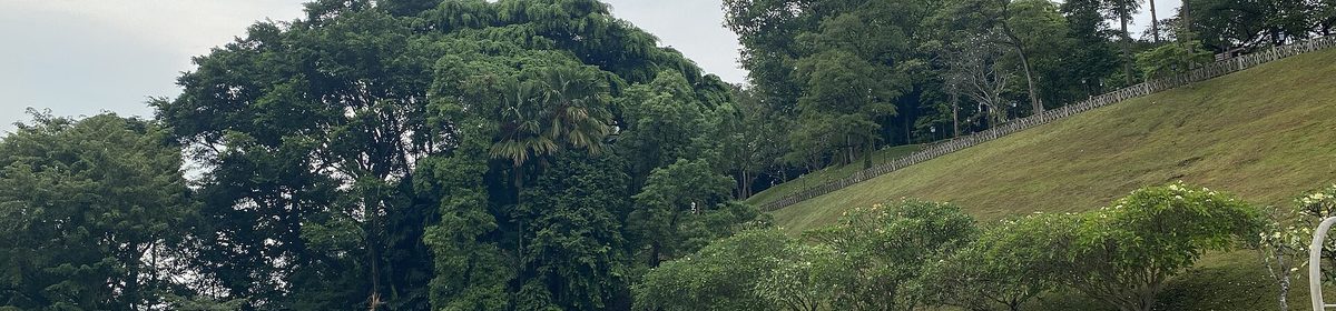Fort Canning Park greenery near Mount Sophia