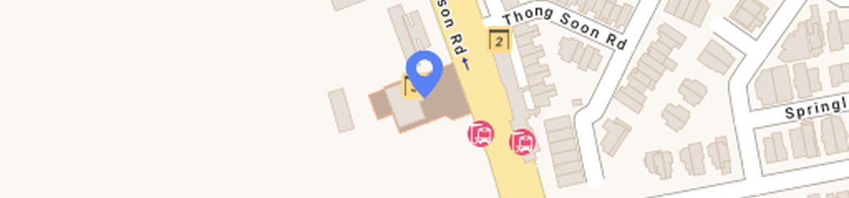 OneMap view of Springleaf MRT (TE4) on the Thomson-East Coast Line, at the project doorstep