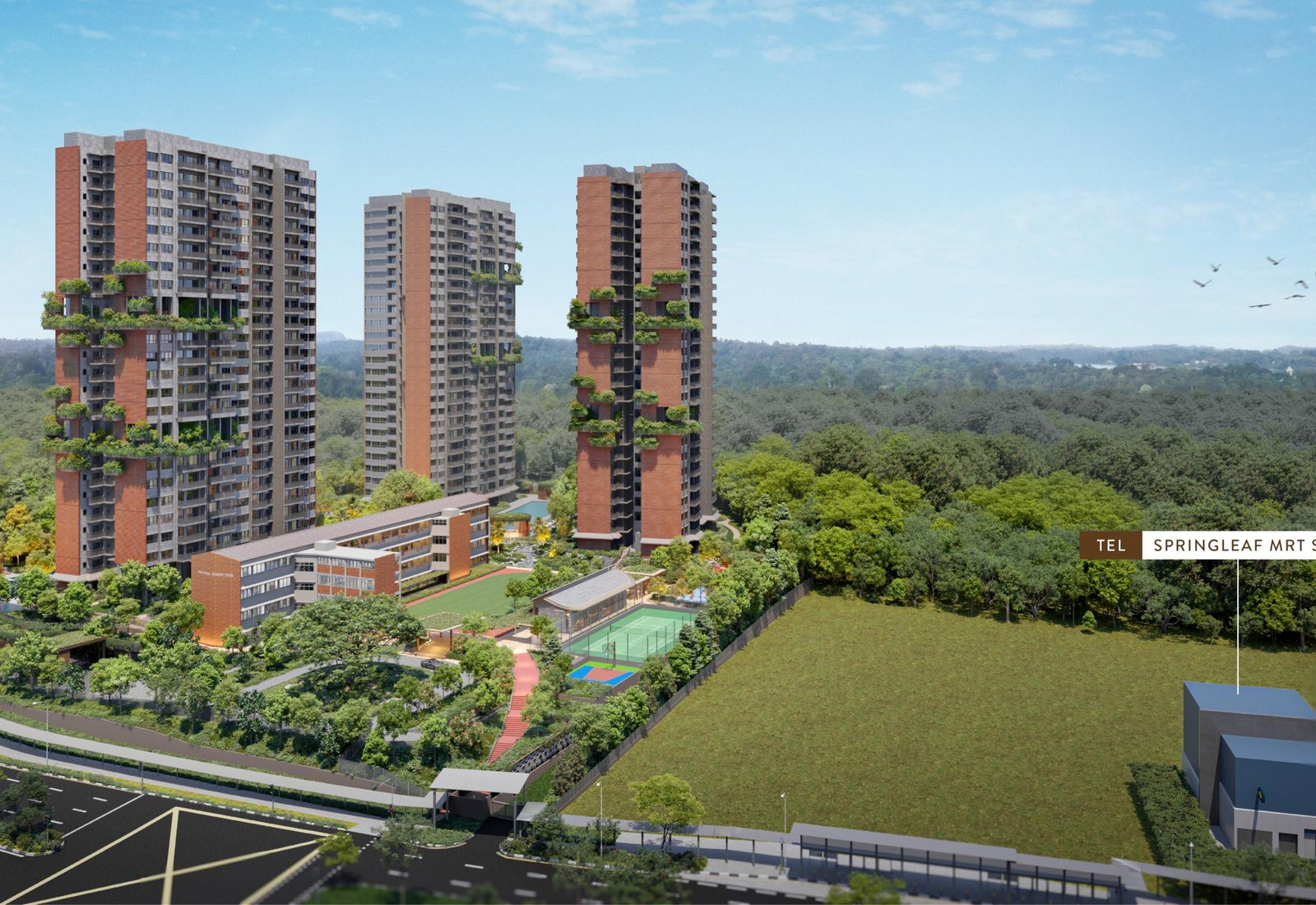 Springleaf Residence — five 25-storey towers and the conserved former Upper Thomson Secondary School block, fronting the Central Catchment forest