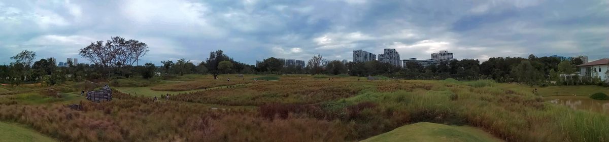 Lallang field at Jurong Lake Gardens, the nearest major park to Tengah