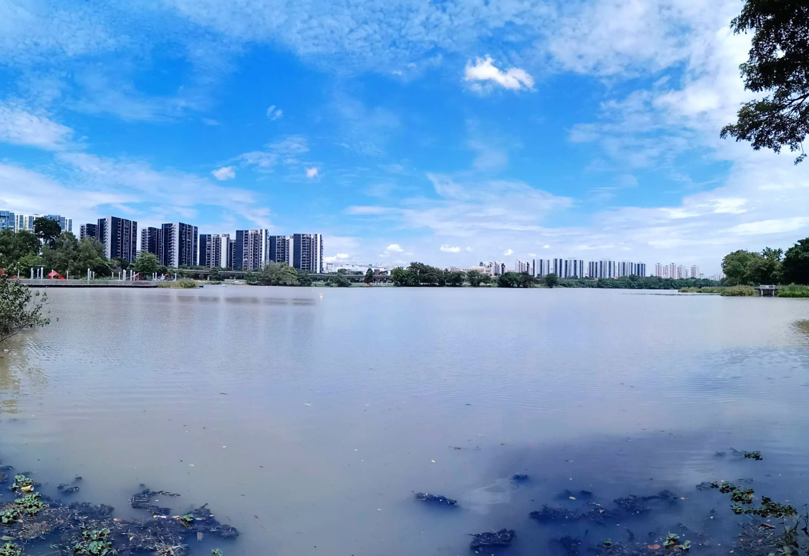 Jurong Lake Gardens, the nearest major green destination to Tengah's Forest Town