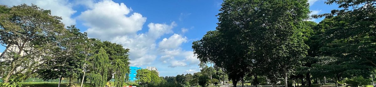 Kallang River park connector