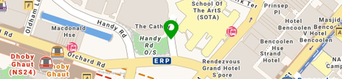 OneMap view of the School of the Arts (SOTA), 1 Zubir Said Drive