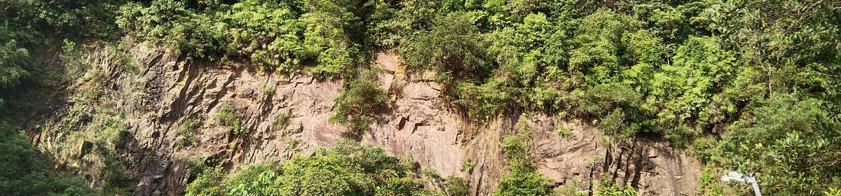 Rifle Range Nature Park near The Sen — part of the Bukit Timah nature belt