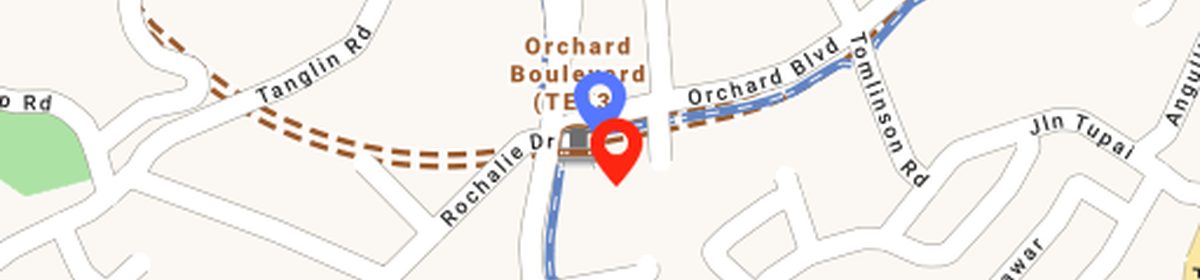 OneMap view of Orchard Boulevard MRT (TE13), ~50 m from UpperHouse