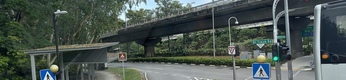 Cluny Court near the Singapore Botanic Gardens