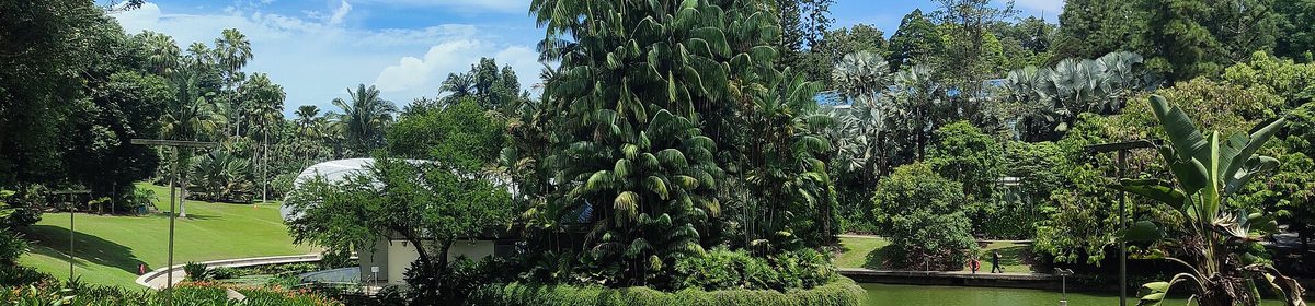 Singapore Botanic Gardens